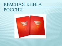 Презентация к уроку Красная книга России
