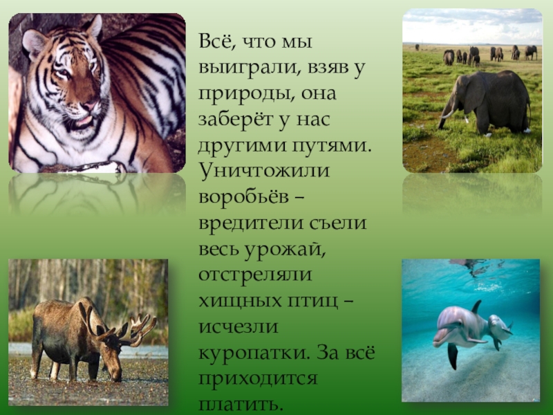 Всё, что мы выиграли, взяв у природы, она заберёт у нас другими путями. Уничтожили воробьёв – вредители