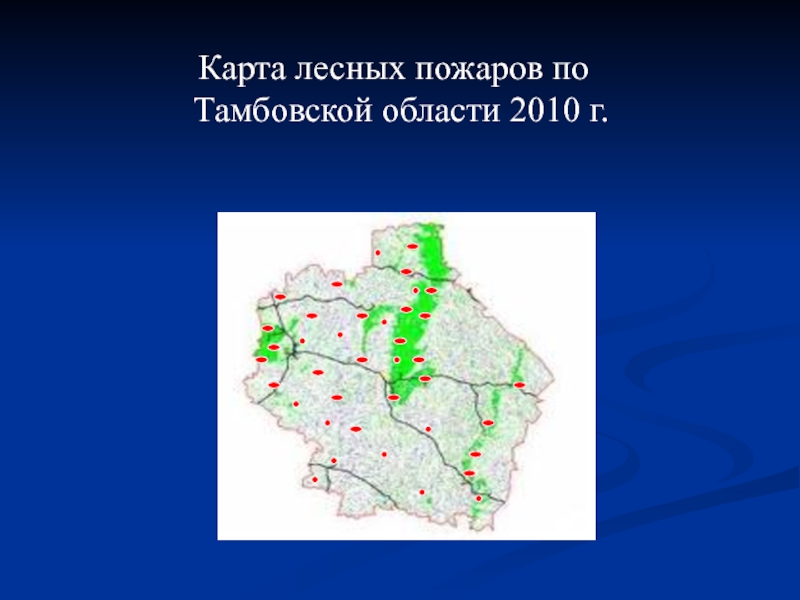 Карта лесов тамбовской области