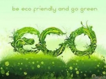 Презентация по английскому языку на тему Экологическая одежда (8 класс)