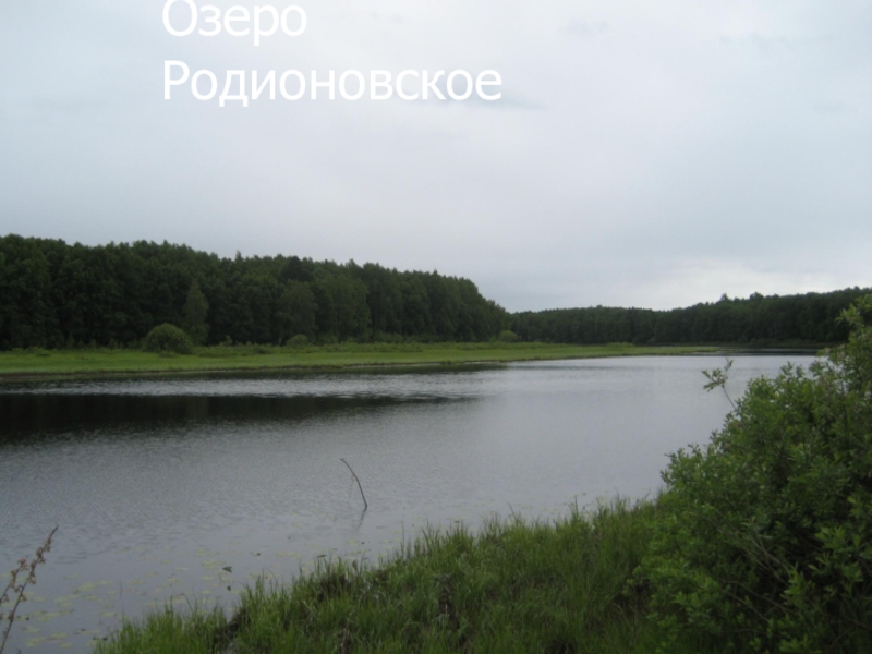 Озеро Родионовское