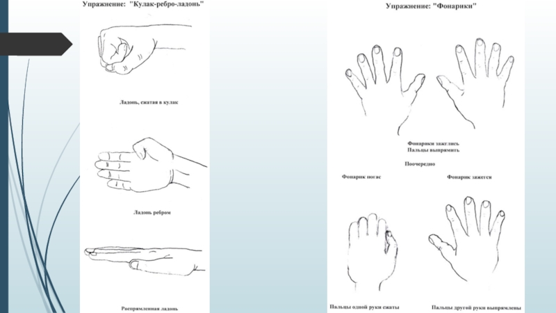 Кулак ребро ладонь упражнение картинка