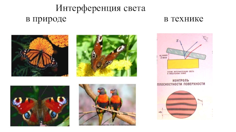 Применение интерференции света презентация