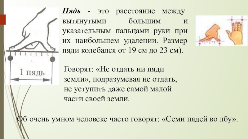 Семь пядей. Пядь. Размер пяди. Расстояние между большим и указательным пальцем. Большая пядь.