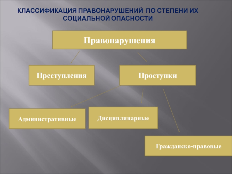 Основные правонарушения. Критерии классификации правонарушений. Классификация видов правонарушений. Классификация административных правонарушений. Классификация гражданских правонарушений.