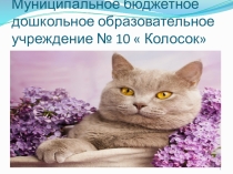 Презентация  Мой ласковый и нежный зверь  ко дню кошек ( 1 марта)