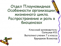 Отдел Плауновидные Особенности организации, жизненного цикла. Распространение и роль в биоценозах