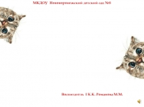 Презентация для детей подготовительной группы Семейство кошачьих