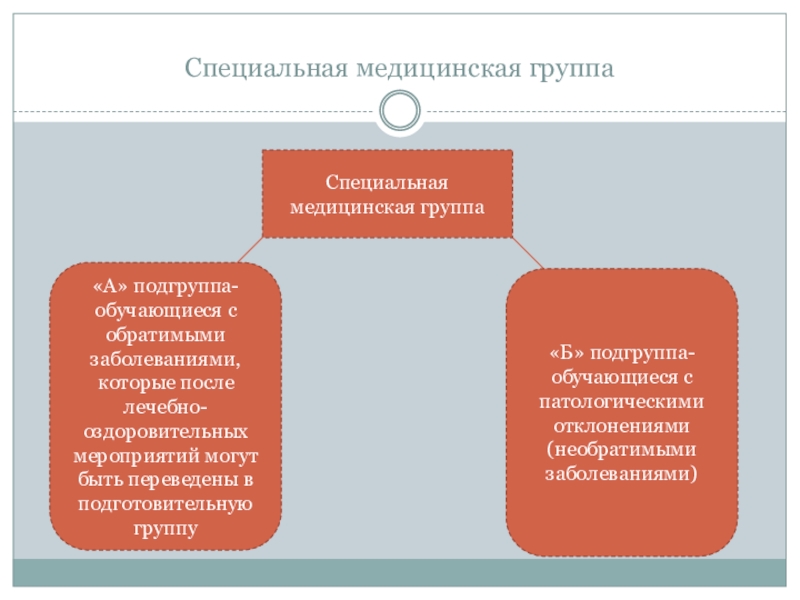 Ооо проект спецгрупп