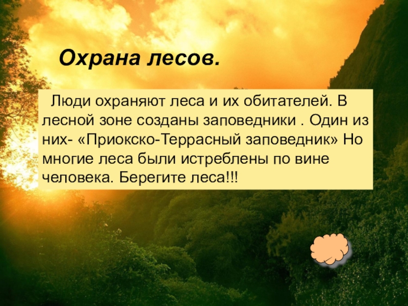 Презентация охрана лесов