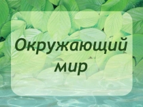 Презентация по окружающему миру на тему: Равнины и горы России