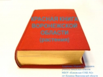 Презентация по окружающему миру на тему Красная книга Воронежской области (животные)