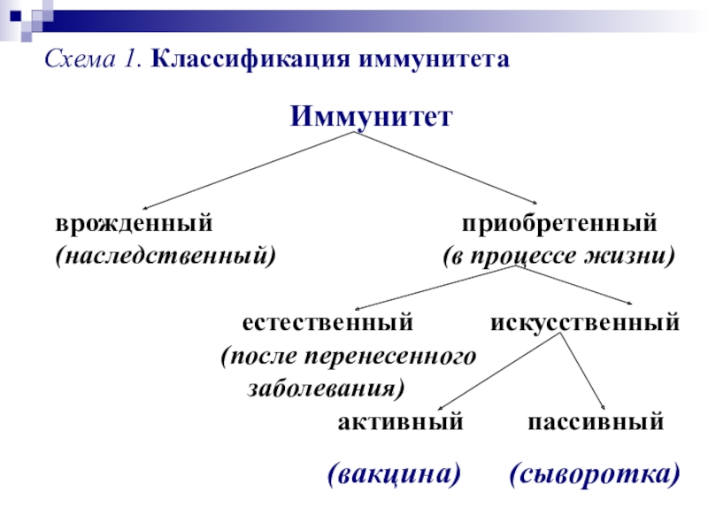 Презентация по микробиологии на тему иммунитет - 98 фото