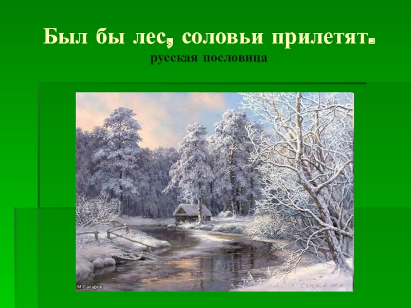 Соловьев лесов. Был бы лес соловьи прилетят. Пословица был бы лес. Был бы лес а соловьи прилетят смысл пословицы. Был бы лес.