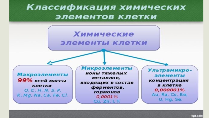 Презентация химический состав клетки 10 класс биология