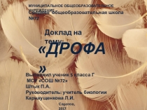 Презентация по биологии на тему  Дрофа