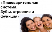 Презентация по биологии на тему Зубы (8 класс)