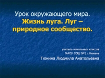 Презентация по окружающему миру на тему Жизнь луга. Луг-природное сообщество