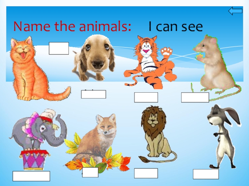 Can i see your picture. Animals in English for Kids для дошкольников игры. I can see 2 класс. Can животные. Animals 1 класс.