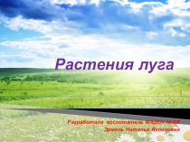 Презентация как демонстрационный материал по экологии Растения луга