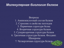 Презентация по биологии на тему Белки 9 класс