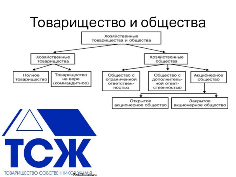 Как называется товарищество. Хозяйственные товарищества и общества примеры. Хоз товарищества примеры. Хозяйственные товарищества пример компаний. Примеры товарищества предприятия.