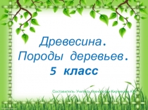 Презентация по технологии на тему Древесина. Породы деревьев (5 класс)