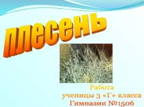 Презентация по окружающему миру.