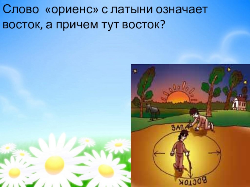 Что обозначает слово ориентироваться. Ориенс география. Слово ориентирование в переводе с латинского означает. Что обозначает латинское слово "Ориенс".