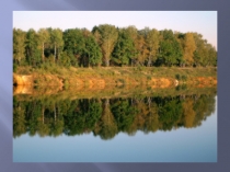 Идиомы в английском языке