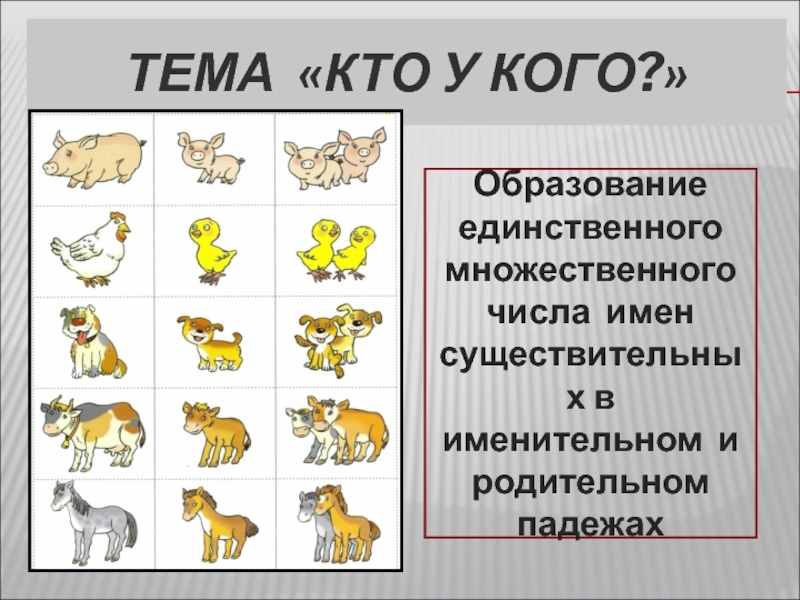 Единственное и множественное число картинки