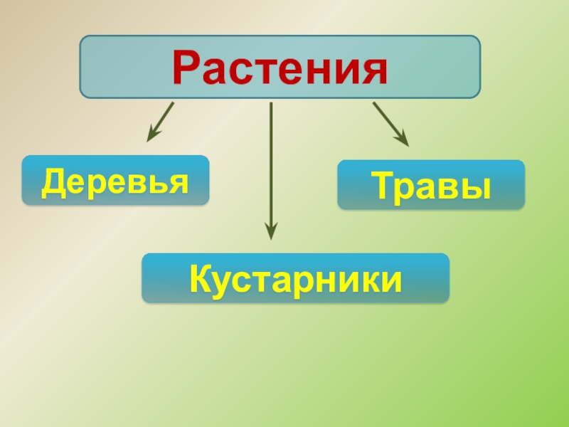 Какие бывают животные окружающий мир 2 класс. Какие бывают животные схема 2 класс.