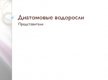 Презентация по биологии для 5-6 класса Водоросли