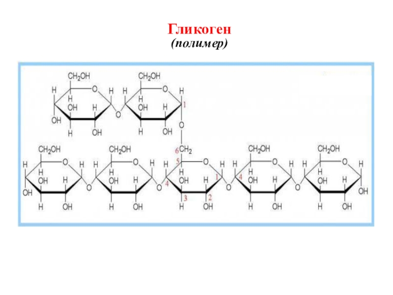 Гликоген это. Строение гликогена формула. Гликоген строение молекулы. Гликоген это полимер. Гликоген формула и структура.