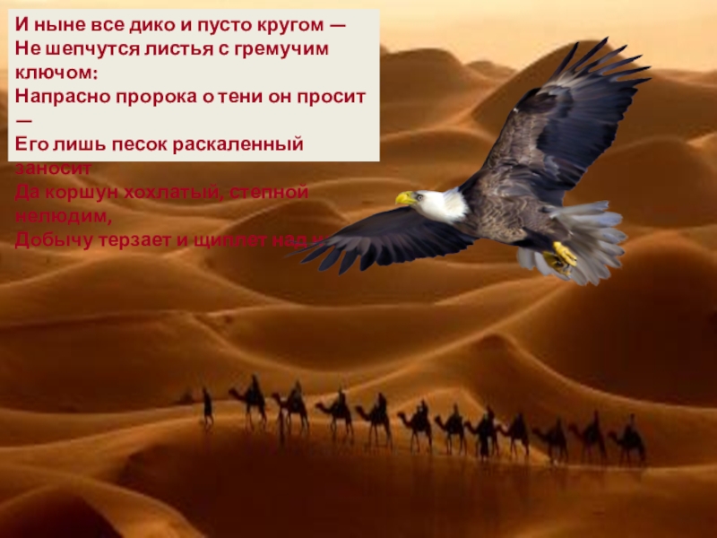 Коршун анализ. И ныне все дико и пусто кругом не шепчутся листья с гремучим ключом. Коршун над пустыней. Коршун в пустыне. И ныне всё дико и пусто кругом.