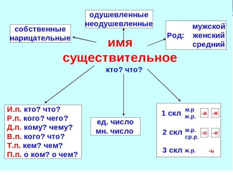 Имя существительное схема