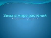 Презентация по окружающему миру Зима в мире растений