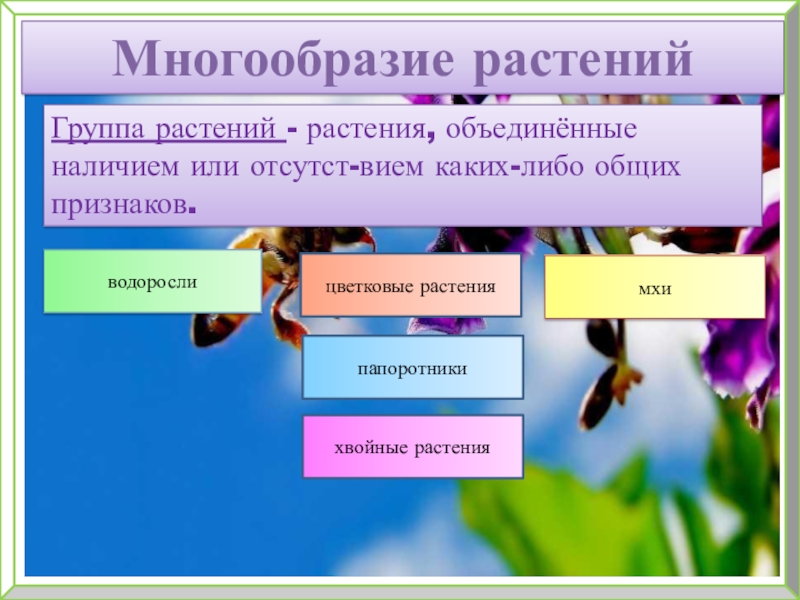 Строение и многообразие растений. Многообразие и строение растений. Таблицу 