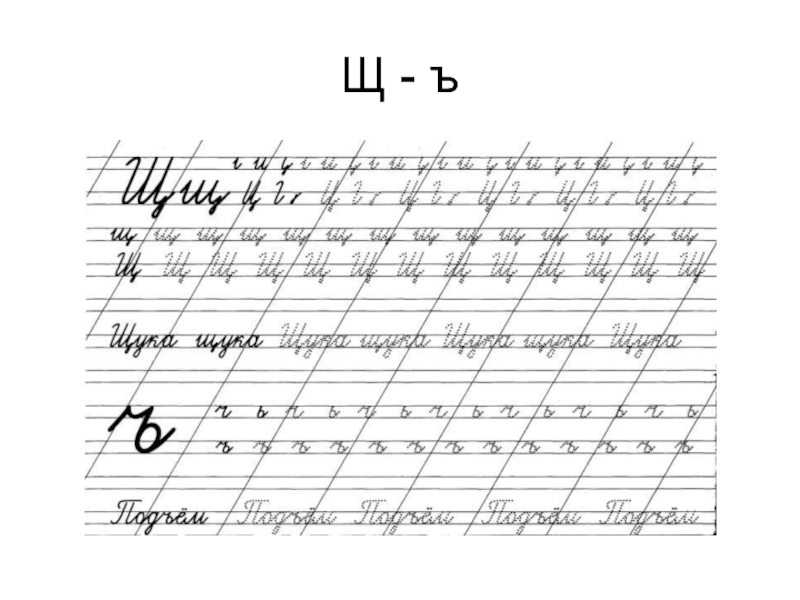 Ц р ч. Прописи буквы щ и ъ. Прописи буква ъ. Буква щ пропись. Соединение мягкого знака с буквами прописные.