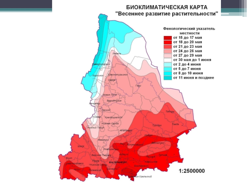 Карта екатеринбурга осадков