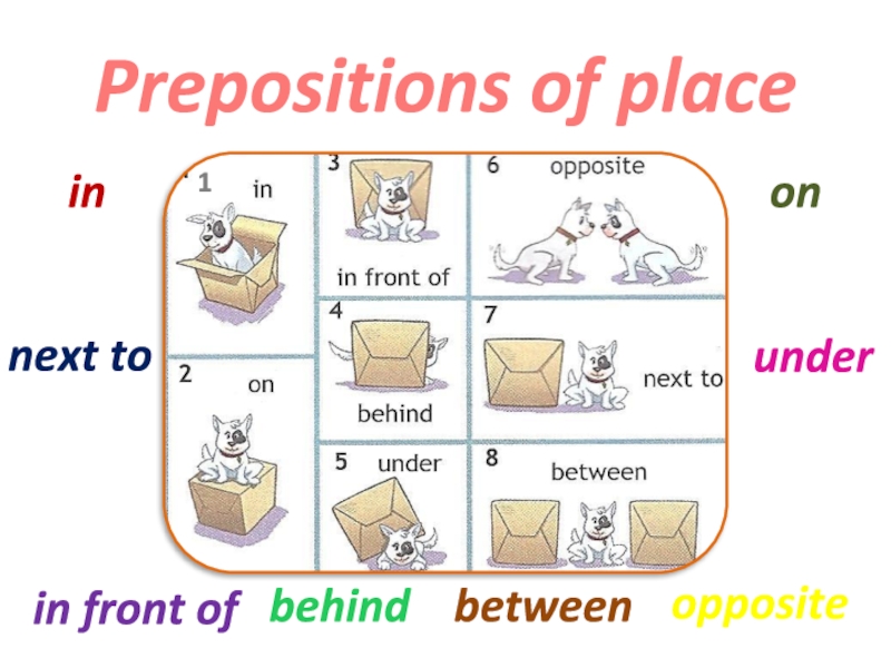 Prepositions of place презентация