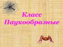 Презентация по окружающему миру на тему Паукообразные.