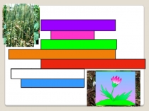Презентация Применение на уроках биологии игровых элементов