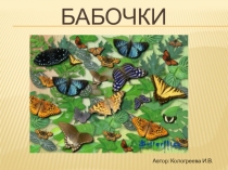 Бабочки.