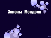 Законы Менделя (презентация по биологии)