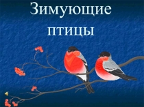 Окружающий мир Зимующие птицы