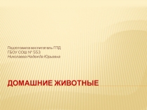 Домашние животные