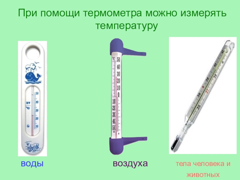 Виды термометров картинка