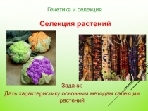 Презентация по биологии на тему Селекция растений (9 класс)