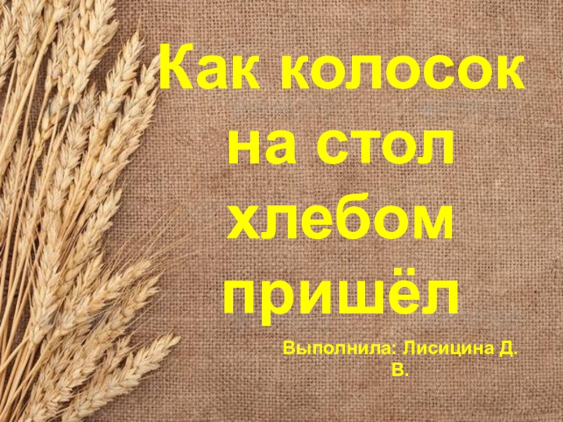 Стол пришел. Как колосок на стол хлебом пришел. Презентация как колосок хлебом на стол пришел. Колоски для презентации. Презентация к уроку колосок.